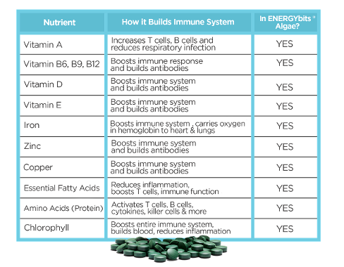 chart of immune boosting nutrients found in ENERGYbits algae