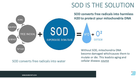 SOD solution. Image showing free radical damage turns to water with the help of SOD.