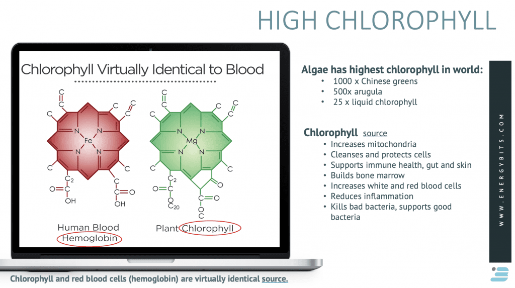 chlorophyll identical to blood image 