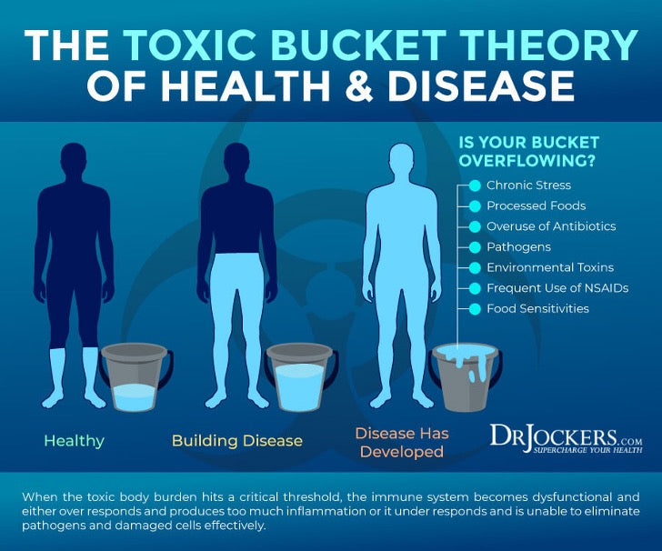 toxic bucket theory, healthy vs. building disease vs. disease developed 